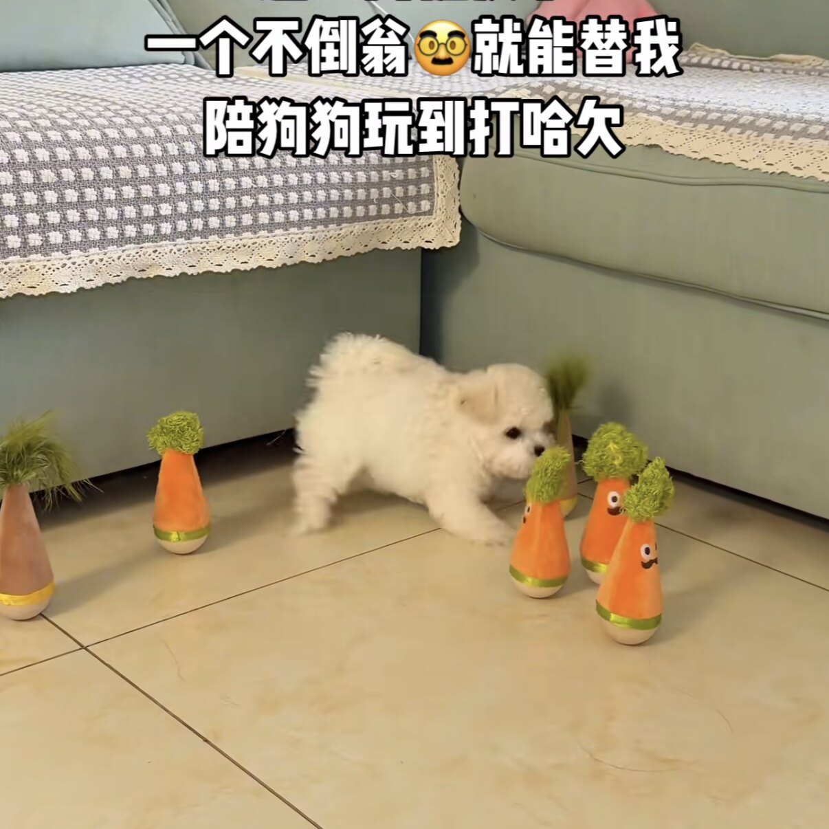 狗狗不倒翁玩具宠物猫咪摇摇乐羽毛逗猫棒消耗体力解闷自嗨小神器