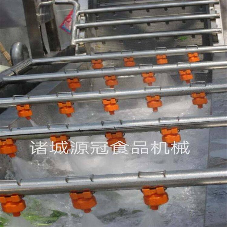 供应果蔬气泡清洗机 秋葵橄榄菜大枣全自动清洗机 高压喷淋清洗线