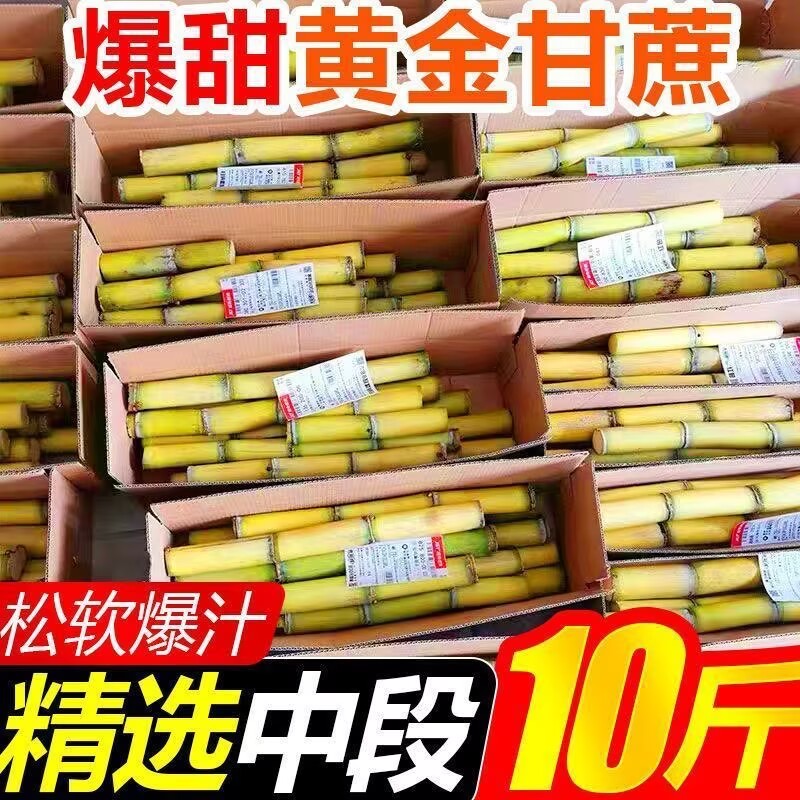 广西黄金甘蔗当季新鲜脆