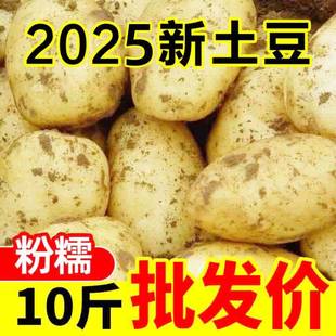 恩施富硒大土豆9斤新鲜包邮黄心士豆湖北马铃薯批发蔬菜高山洋芋
