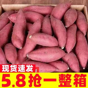 正宗农家烟薯25号烤红薯山芋红薯糖心蜜薯地瓜新鲜农家自种小番薯