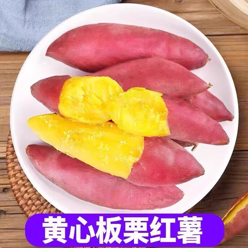 陕西板栗红薯新鲜沙地蜜薯地