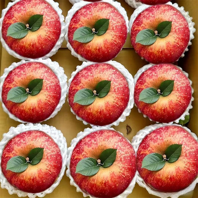 2025正宗大凉山盐源丑苹果