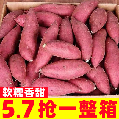 新鲜烟薯25号糖心蜜薯红薯