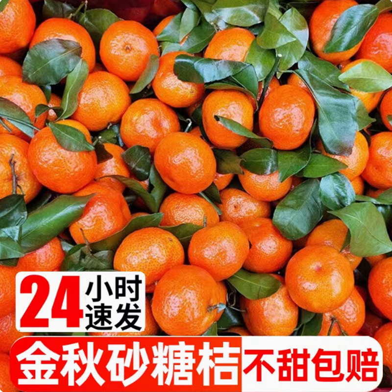广西砂糖橘新鲜当季水果9斤孕妇正宗金秋沙糖蜜桔小柑橘桔子