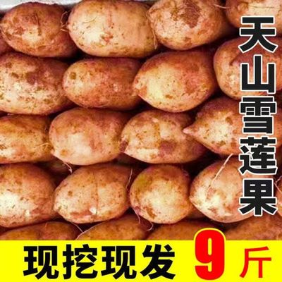 云南天山雪莲果新鲜红心特级