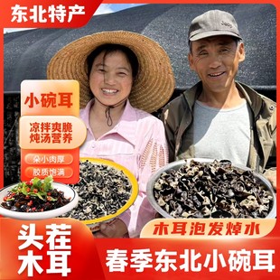 【头茬春耳】新木耳黑龙江东宁木耳黑木耳肉厚无根干净高泡发包真