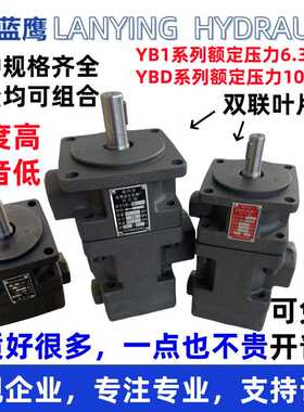 YBD-2.5/4/6/10/12/16/20/25/32/40/50/63/100双联80叶片油泵Y