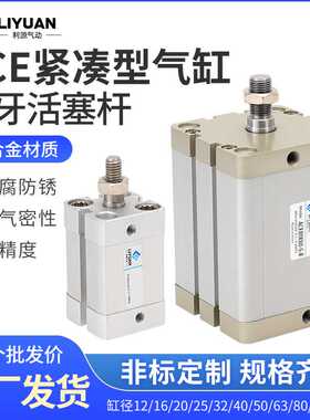 ACE气缸12/16/20/25/32*5X10X30X50X80X100外牙B/-SB