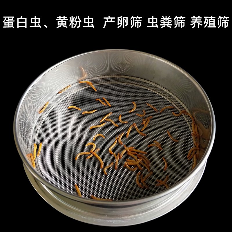 筛网筛子蛋白虫黄粉虫粪筛产卵筛养殖筛大麦虫304不锈钢虫粪