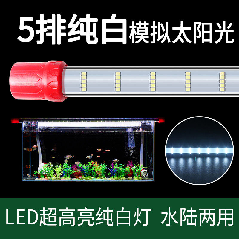 Led鱼缸灯管水族箱照明灯超亮防水蝴蝶锦鲤热带鱼水草灯纯白,宠物/宠物食品及用品,照明器材,淘宝优惠券,粉丝福利购,淘宝优惠卷