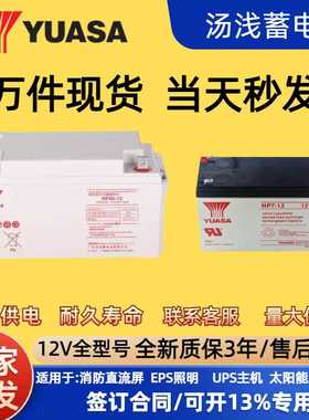 YUASA汤浅蓄电池NP-12V200A100A65A38A24A18A17.2AH电梯UEPS