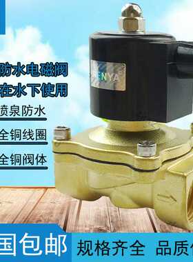 CXFY 水下喷泉跑泉常闭防水电磁阀水阀AC220VDC24V 4分6分1寸