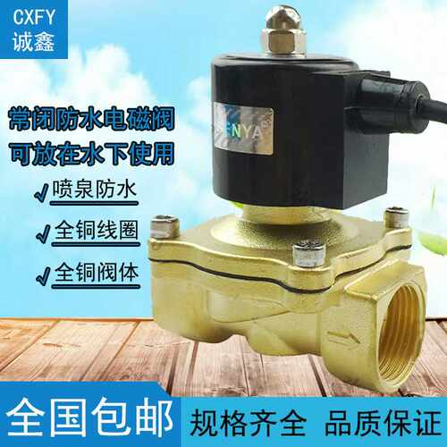 CXFY 水下喷泉跑泉常闭防水电磁阀水阀AC220VDC24V 4分6分1寸