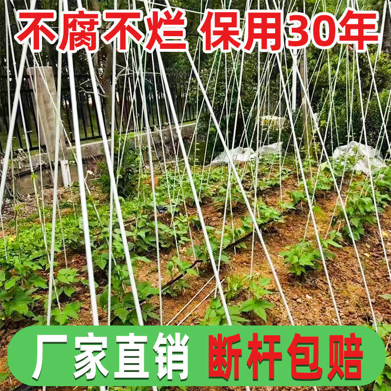 豆角黄瓜爬藤支架杆花架子塑料遮阳网辣椒户外扶苗杆子葡萄架拱杆