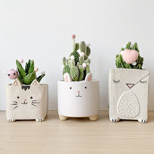 办公室内桌面绿植物防辐射幼儿园多肉小盆栽仙人球掌可爱花卉