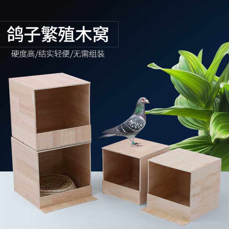 鸽子巢窝巢箱草窝鸽子笼养殖笼木质鸽子用用具繁殖窝孵蛋用