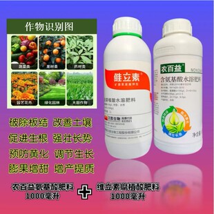 黄金组合腐殖酸加氨基酸肥料沖施加喷施促根壮苗植株健壮膨果壮果