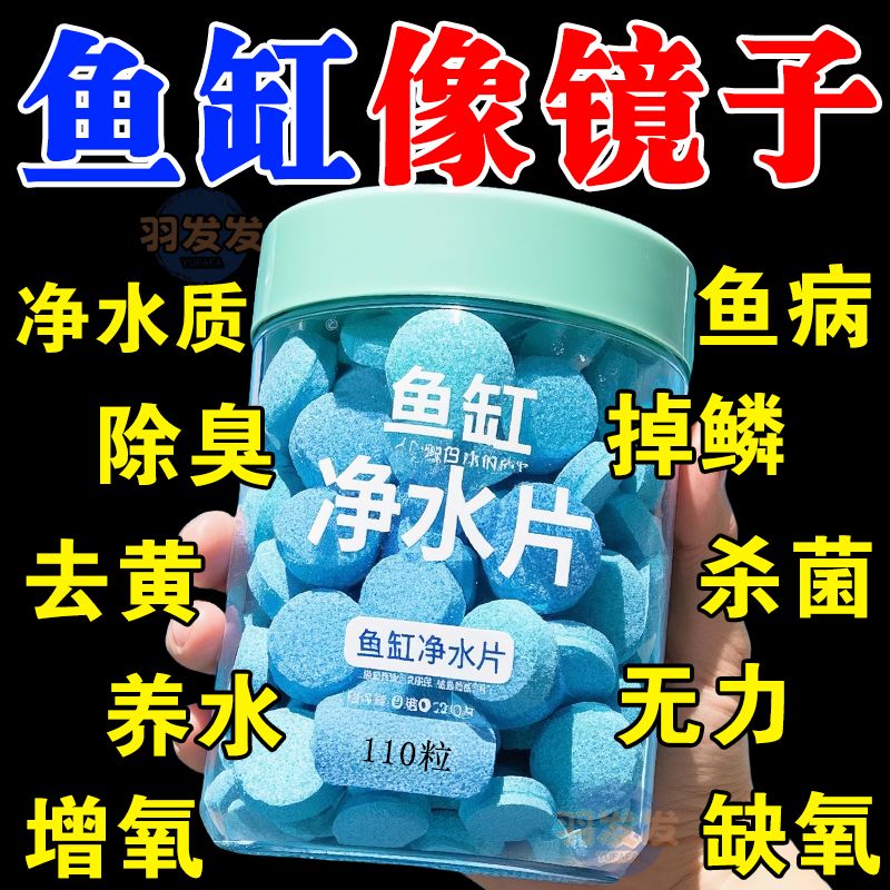 鱼缸净水片硝化细菌去除鱼缸异味净化水质鱼缸去除腥味鱼缸专用