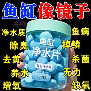 鱼缸净水片硝化细菌去除鱼缸异味净化水质鱼缸去除腥味鱼缸专用