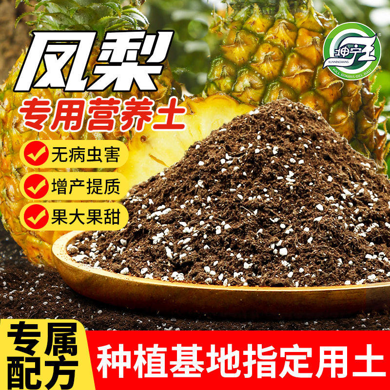 种凤梨专用土果树营养有机肥料盆栽种植土壤颗粒花泥养花通用型土