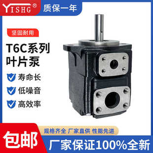 B1液 010 031 1R00 022 005 012 丹尼逊叶片泵T6C 003