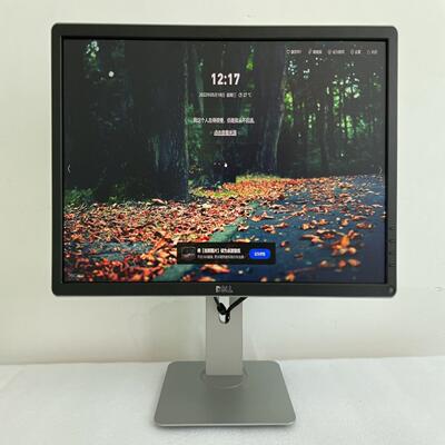 23.8寸戴尔P2414HB 24寸液晶显示器 16:9 I