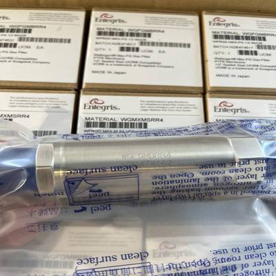 WGFGMBRR4有，WG2FT1SS2这个有，英特拍前询价