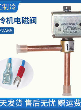 制冷设备 制冰机除霜化冰二通电磁阀FDF-2A65电磁阀线圈220V/6W