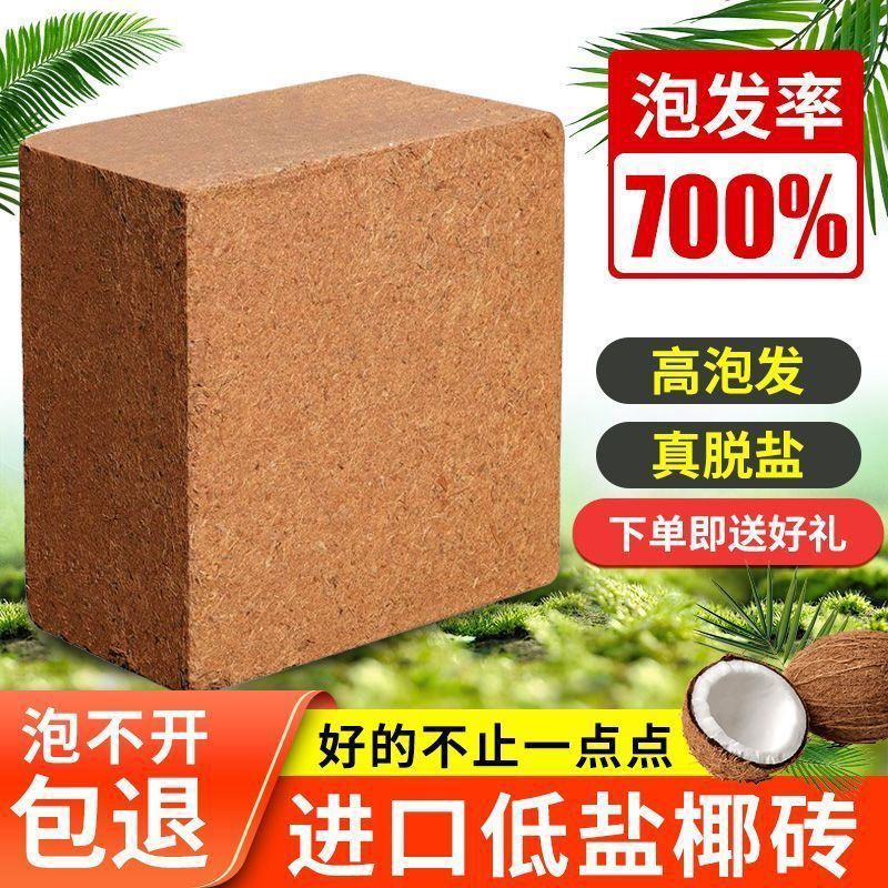 9斤大椰砖大块粗椰子壳椰砖盐菌进口基质乌龟冬眠花盆处理