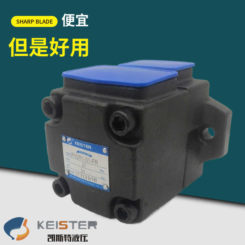 凯斯特高压叶片泵PV2R1 PV2R2低噪音油泵17/19/23/31/47/65/53-