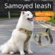 萨摩耶牵引绳大型犬胸背带背心式 专用大中型犬狗绳子衣服宠物用品