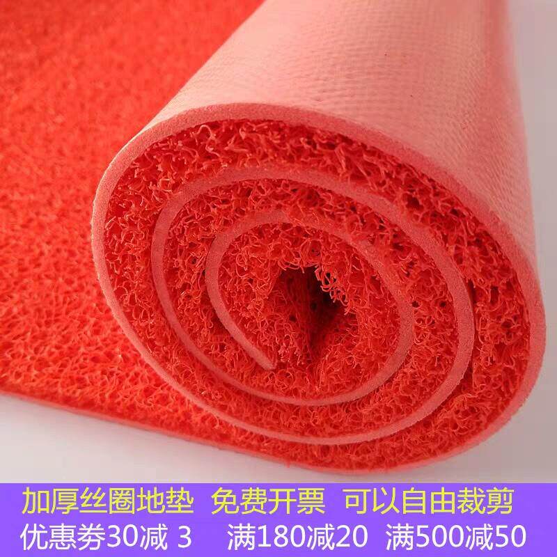 塑料地毯地垫入户门垫室外红丝圈垫防水门口垫进门商用脚垫防滑垫