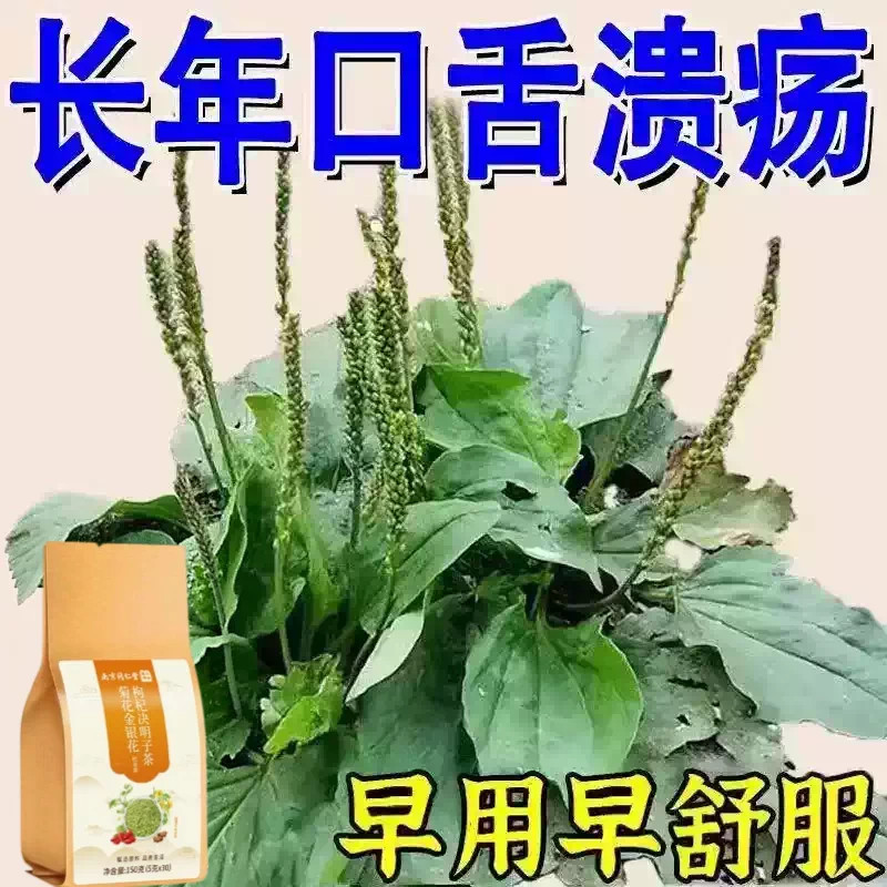 口腔溃疡口舌生疮牙龈肿痛上火起泡嘴唇溃烂正品泡水口腔溃疡茶