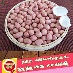 年新品精选贵州生花生米 铜仁珍珠小花生米 粉红皮松桃花生