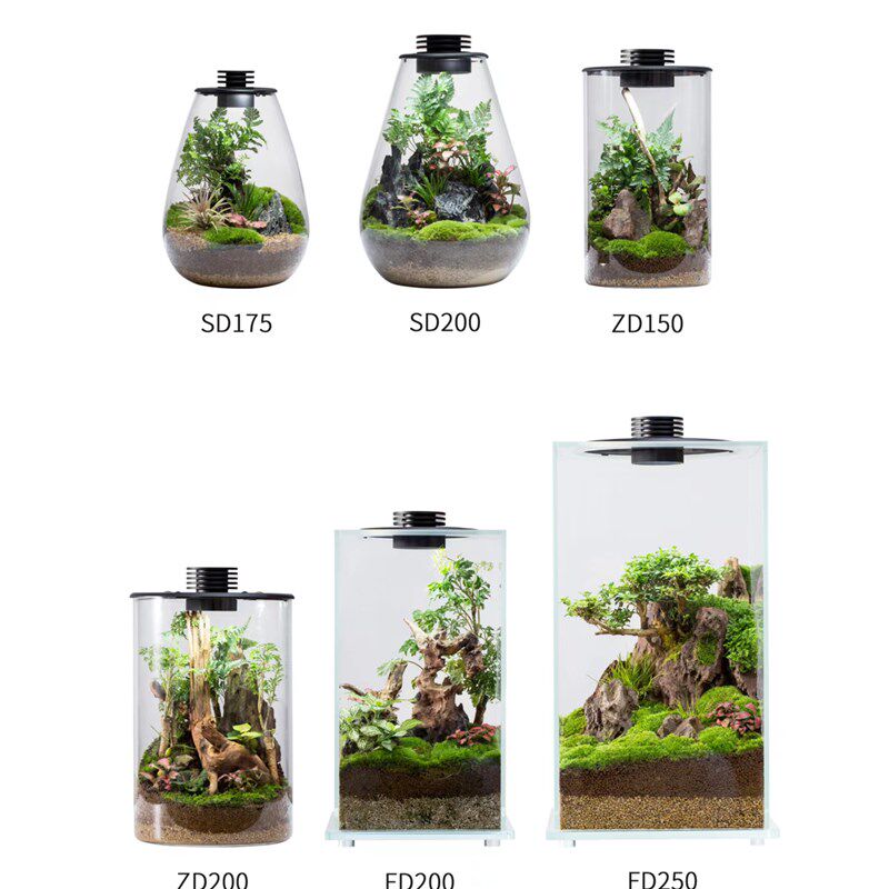 Bioloark生物方舟微景观食虫绿植苔藓创意家居客厅桌面玻璃生态瓶