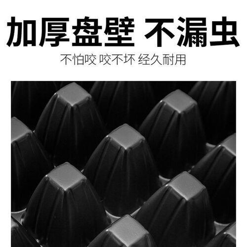 蛋白虫化蛹盘无孔育苗盘大麦虫面包虫养殖盘面包虫化蛹盒养殖盒
