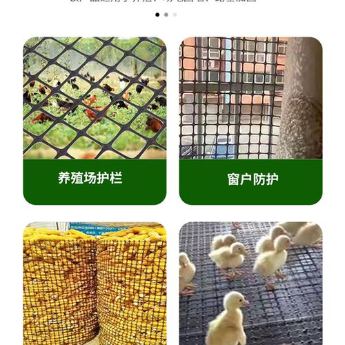 塑料网养殖网栅栏隔离家用防护网鸡鸭漏粪塑料网格网圈玉米围栏网
