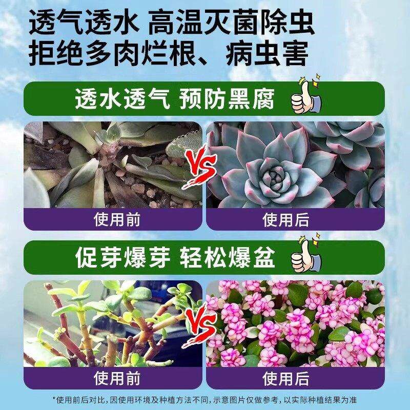 多肉颗粒土专用营养土植物泥炭种植土壤肉肉叶插小苗老桩颗粒花土