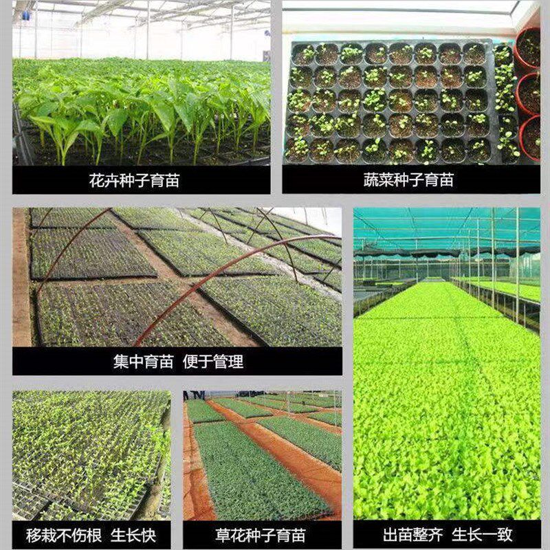 育苗盘加厚穴盘托盘西红柿辣椒玉米育种育秧盘扦插多肉加深培育盘