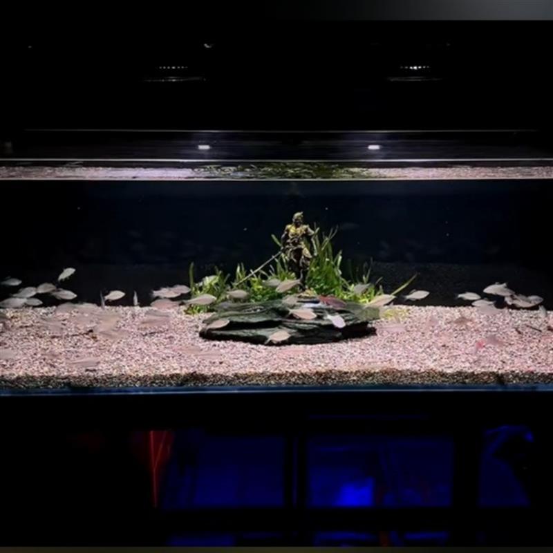 斗战胜佛鱼缸摆件孙悟空水族箱摆饰齐天大圣造景装饰灵石鱼缸造景