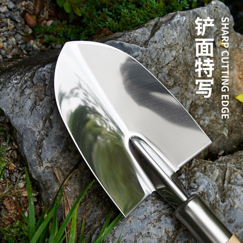 园艺小铁锹短把铁锹白钢平头铲户外园林铲庭院加厚不锈钢花园铲子