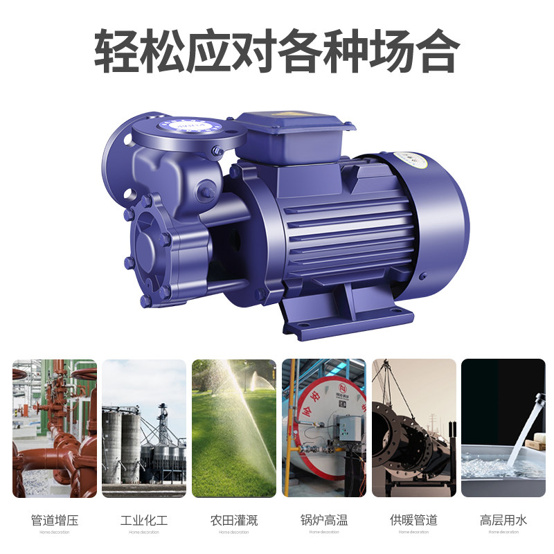 W型单级高压旋涡泵锅炉给水泵高楼增压泵高扬程抽水机三相电380V