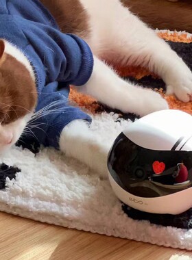 ebo机器人智能逗猫陪伴宠物家庭远程看护老人小孩移动监控摄像头