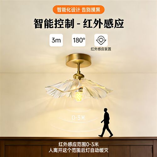 全铜过道走廊灯轻奢网红荷叶阳台吸顶灯复古入户玄关感应门厅灯具