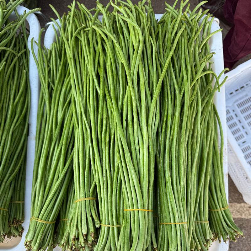新鲜嫩豇豆云南农家种植新鲜蔬菜现摘长豆角泡菜酸豆角腌制原材料