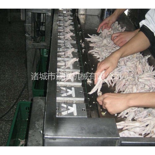 网红泡椒鸡爪凤爪切割机 鸡爪分段机 鸡脚分切设备