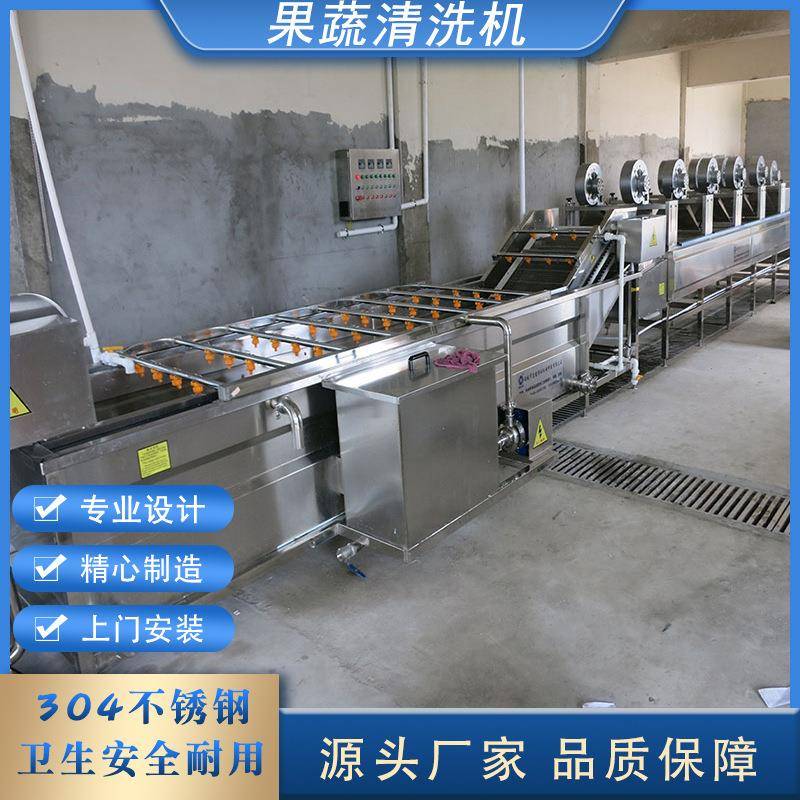 商用果蔬气泡清洗机小龙虾喷淋式清洗设备辣椒韭菜苹果清洗机