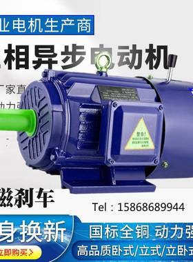 电磁制动三相异步电动机YEJ112M-62.2W刹车马达960转6极立卧式