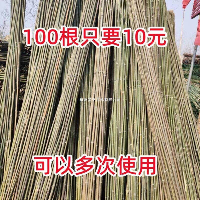竹竿菜园搭架竹子户外旗杆黄瓜豆角爬藤菜架竹杆支架豇豆搭架杆